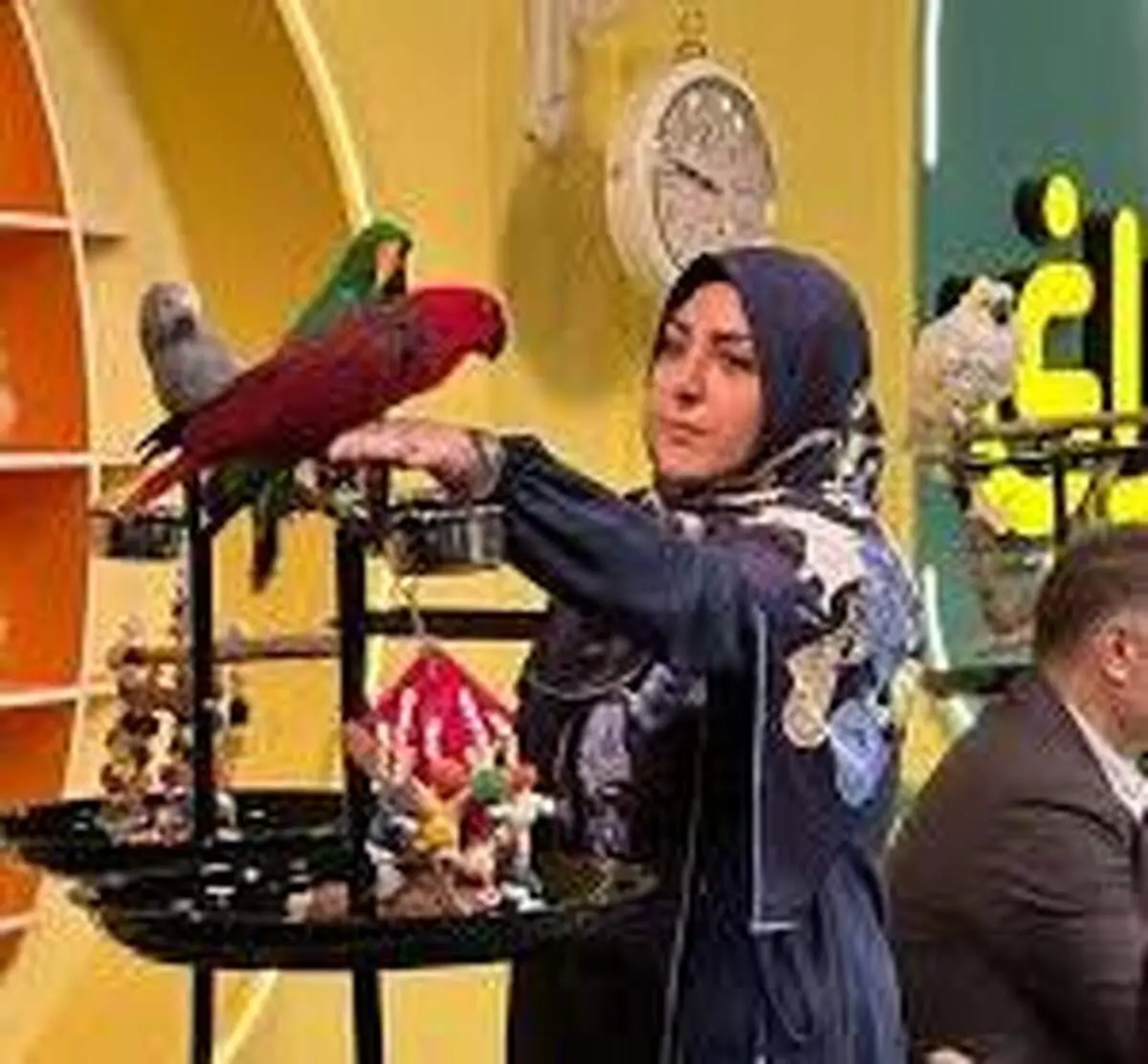 پاسخ غیرمنتظره یک پسربچه، المیرا شریفی‌مقدم را غافلگیر کرد + فیلم