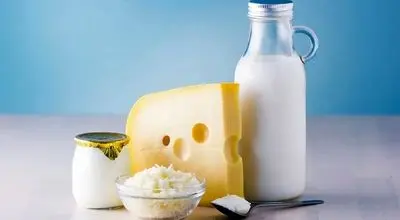 لبنیات؛ سپر طبیعی بدن در برابر ضعف عضلانی

