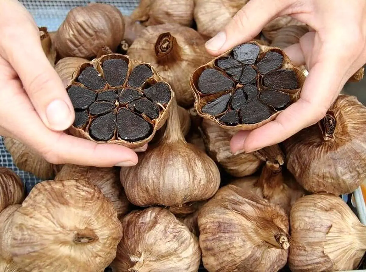 سیر سیاه برای چی خوبه ؟
