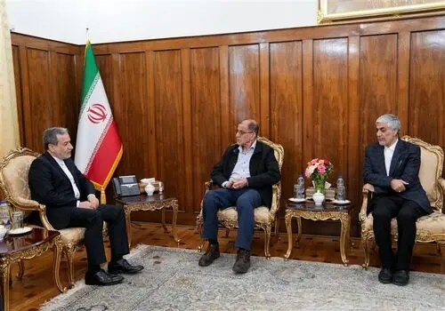عراقچی: هرگونه تصمیم نسنجیده در شورای حکام علیه ایران با پاسخ مقتضی مواجه خواهد شد


