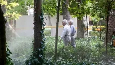 خبر خوش برای بازنشستگان؛ مرحله سوم وام قرض‌الحسنه بازنشستگان واریز شد