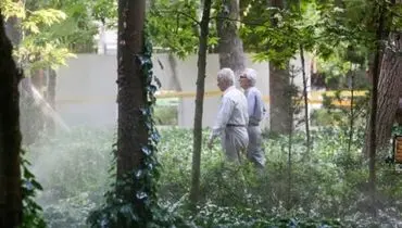 خبر خوش برای بازنشستگان؛ مرحله سوم وام قرض‌الحسنه بازنشستگان واریز شد