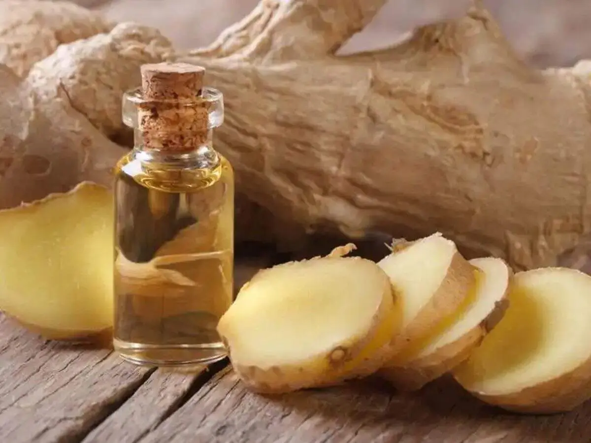 تسکین دردهای بدن با معجون شگفت انگیز زنجبیل و روغن زیتون

