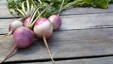 خواص شلغم برای درمان یبوست
