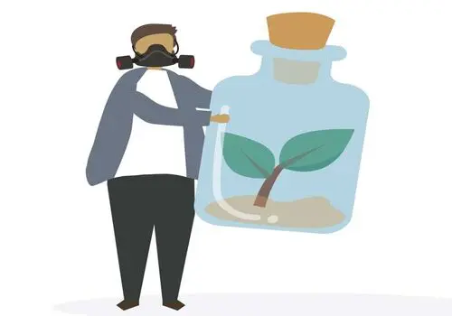 آیا تغذیه می‌تواند به جنگ آلودگی هوا برود؟
