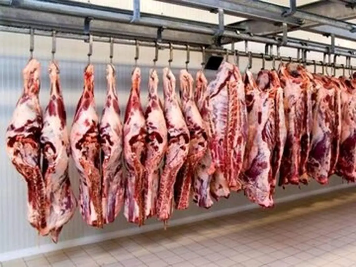 احتمال جهش قیمت گوشت در نیمه دوم ۱۴۰۳
