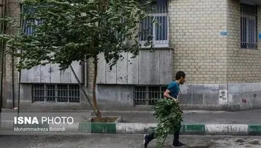 بارش پراکنده باران در استان‌های شمالی طی فردا