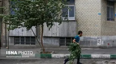 بارش پراکنده باران در استان‌های شمالی طی فردا