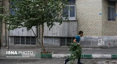 بارش پراکنده باران در استان‌های شمالی طی فردا