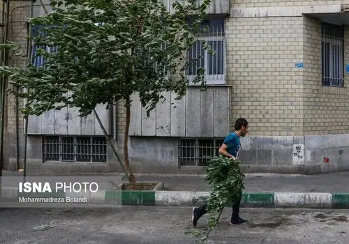 هواشناسی: این استان‌ها منتظر باران و رعد و برق باشند