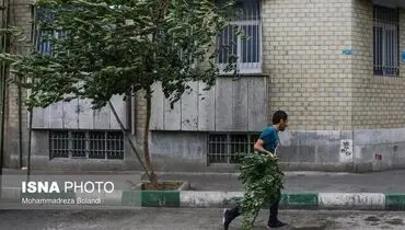 بارش پراکنده باران در استان‌های شمالی طی فردا