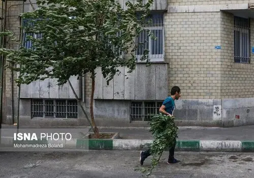هواشناسی: این استان‌ها منتظر باران و رعد و برق باشند