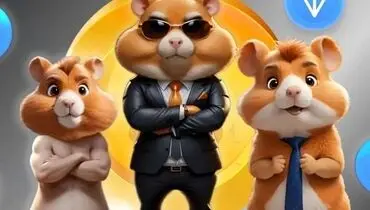 کارت های امروز همستر برای جایزه ۵ میلیونی (دوشنبه 28 خرداد) + عکس
