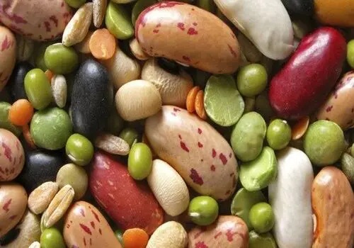 افزایش چشمگیر قیمت لپه، عدس و نخود