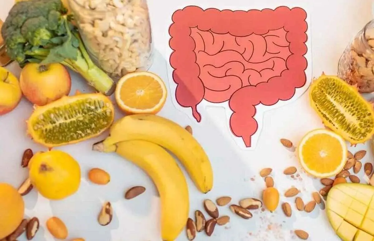 این ۱۵ خوراکی را برای سلامت روده در رژیم غذایی‌تان بگنجانید