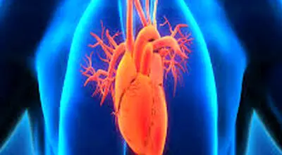 ۷ نشانه رماتیسم قلبی و روش پیشگیری!