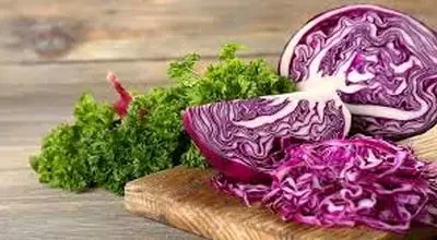 تحقیق درباره خواص و مضرات کلم قرمز
