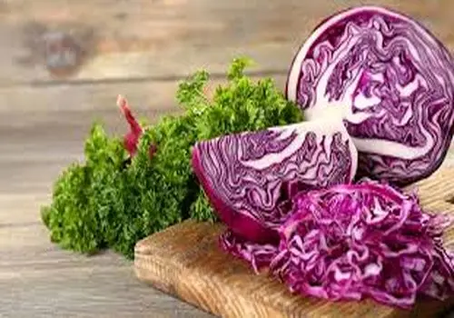 تحقیق درباره خواص و مضرات کلم قرمز
