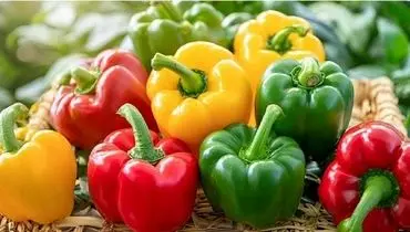 فلفل دلمه‌ای نر یا ماده؛ کدام برای پخت‌وپز مناسب‌تر است؟
