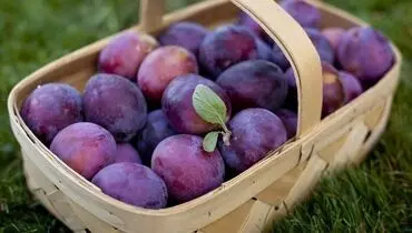 معجزه این میوه برای نجات شما از یبوست