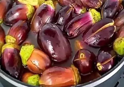 طرز تهیه  ترشی شکم‌پر بادمجون+ فیلم