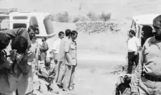 تصاویری تماشایی از لحظه ورود آزادگان به ایران 