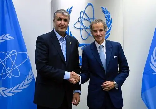 بیانیه مدیرکل آژانس بین‌المللی انرژی اتمی درباره فعالیت‌ هسته‌ای ایران 