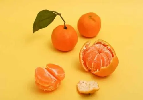 نارگیل و خاصیت بی نظیر آن برای معده
