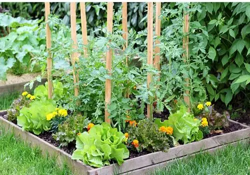  استرس این قسمت از بدنتان را گرفتار می کند 