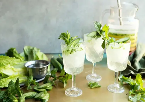 طرز تهیه شربت خیار سکنجبین سنتی 