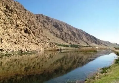 تخم‌مرغ تبرئه شد/ چربی اشباع، مقصر اصلی بیماری قلبی است