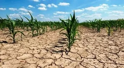 ایران بر لبه‌ی عطش؛ هشدار درباره خشک‌شدن کامل سفره‌های زیرزمینی