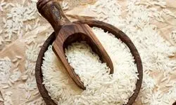 قیمت برنج ایرانی رکورد زد