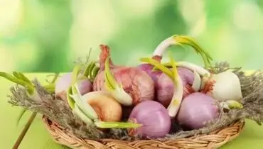 با پیازی که جوانه زده چه کنیم؟ 