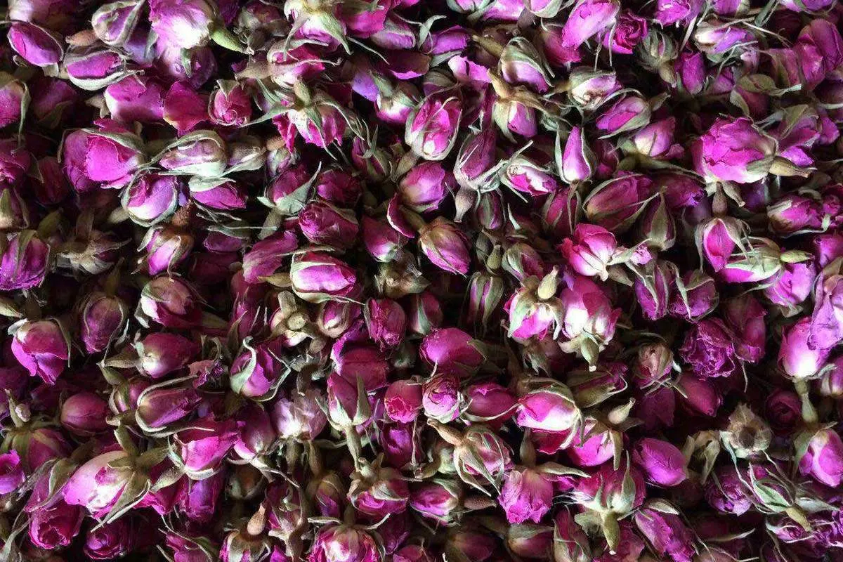 روشهای ساده و مؤثر برای خشک کردن گل محمدی در خانه