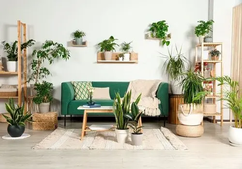 با این گیاهان، انرژی مثبت را به خانه بیاورید