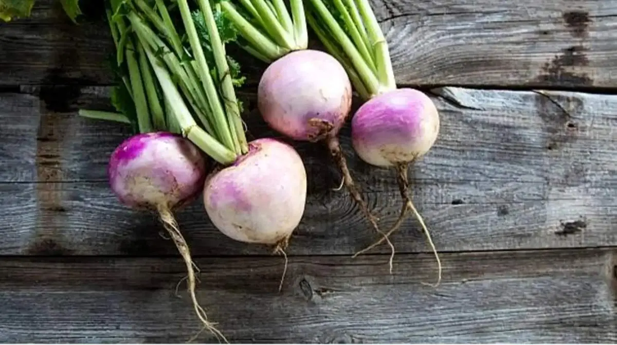 شلغم پلو با سبزیجات و عدس؛ غذایی متفاوت و اقتصادی