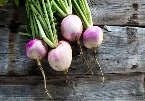 طرز تهیه سالاد شلغم و هویچ، سالم و رژیمی