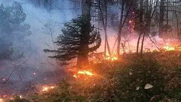 اعزام ۵ بالگرد برای مهار آتش‌سوزی جنگل‌های غرب کشور
