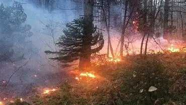 اعزام ۵ بالگرد برای مهار آتش‌سوزی جنگل‌های غرب کشور
