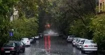بارش شدید باران بهاری هم اکنون در تهران+ فیلم