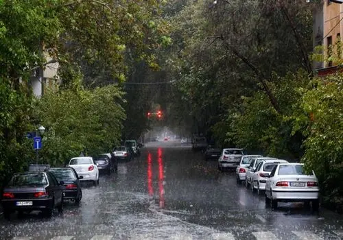 بارش باران و وزش باد شدید در تهران
