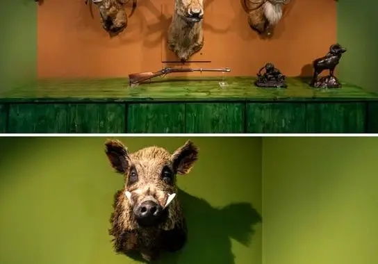 photo_7_2025-12-07_20-59-09