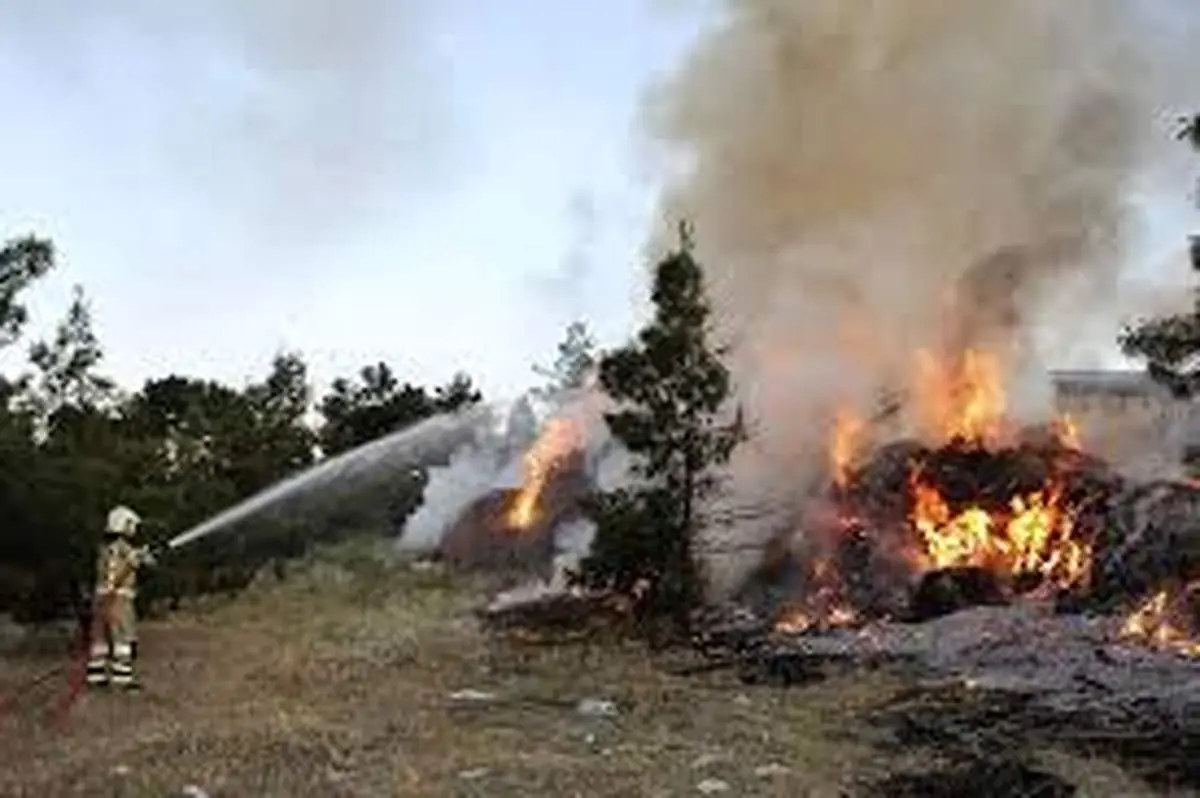 اولین تصاویر از آتش‌سوزی در اتوبان تهران کرج + فیلم