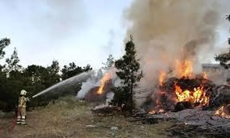 اولین تصاویر از آتش‌سوزی در اتوبان تهران کرج + فیلم