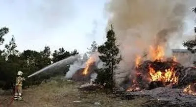 اولین تصاویر از آتش‌سوزی در اتوبان تهران کرج + فیلم