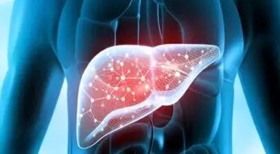 اگر می خواهید کبدتان نابود نشود، این موارد را رعایت کنید 