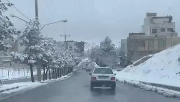 طبیعت منحصربه فرد شهرکرد در روزهای برفی دی ماه+فیلم