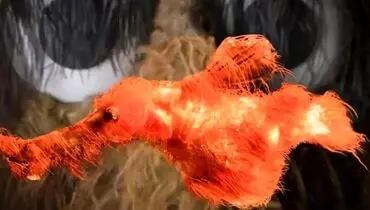 کشف یک ماهی ناشناخته و پرزدار با ظاهری عجیب در دل اقیانوس
