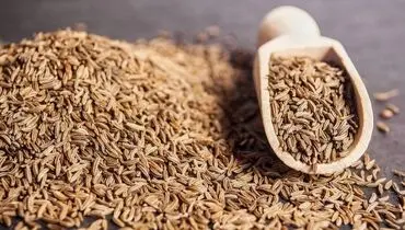خواص عجیب زیره برای درمان باروری در مردان
